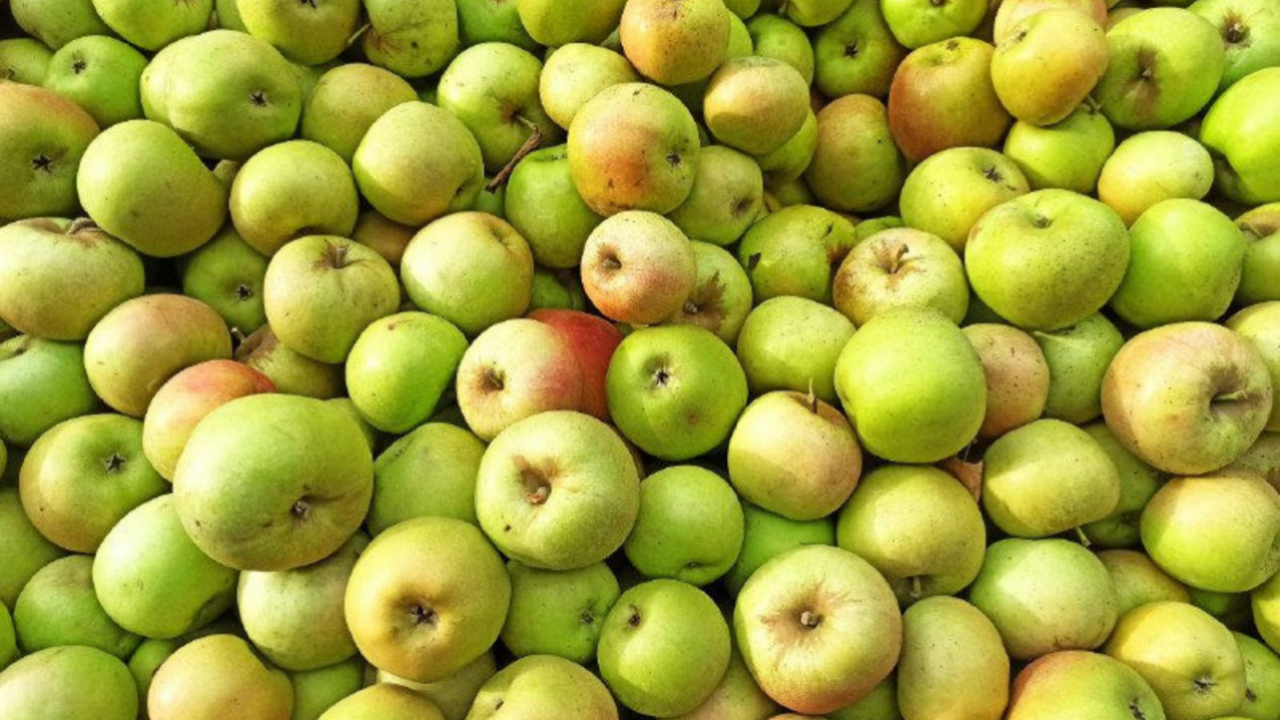 Де можна безкоштовно отримати яблука від місцевого виробника