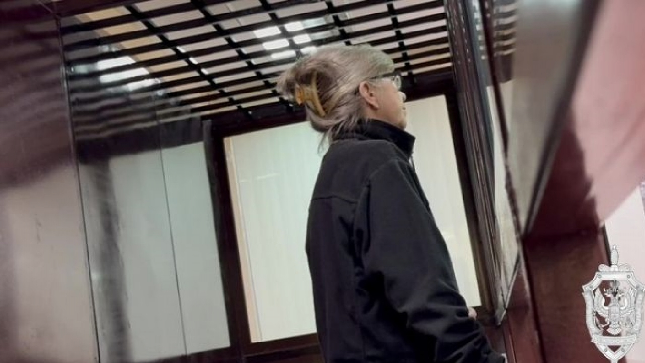 Квартиру відібрали, а власницю посадили на 12,5 років &mdash; як у Мелітополі окупанти розправилися з 65-річною Іриною Суховей 