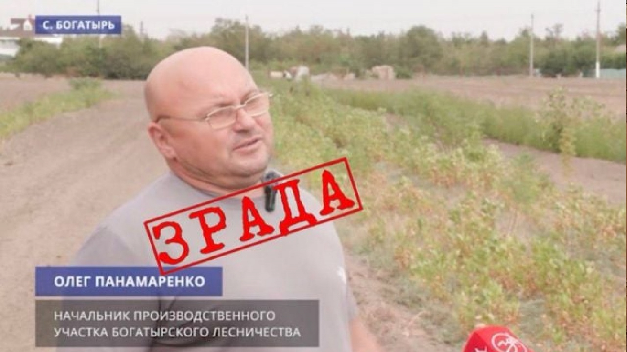 Кар&rsquo;єра на зраді: колишнього лісника з Богатирського лісництва під Мелітополем засуджено до 15 років ув&rsquo;язнення